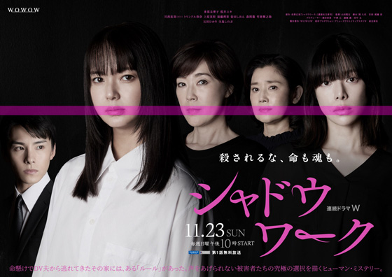 dvd-202604/30/1672b9a7-b279-4b75-b0cf-6f7db55e623b.jpg
