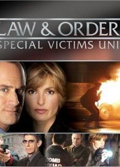 法律與秩序:特殊受害者1-11季/law and order Season 1-11