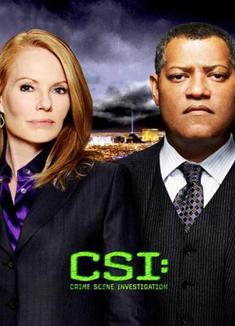 CSI：犯罪現場調查：拉斯維加斯篇第11季