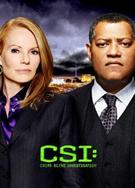 CSI：犯罪現場調查：拉斯維加斯篇第11季