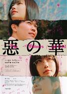 惡之華/惡の華 (2026)