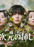 一次元的扦插/一次元的紫陽花/一次元の挿し木 (2026)